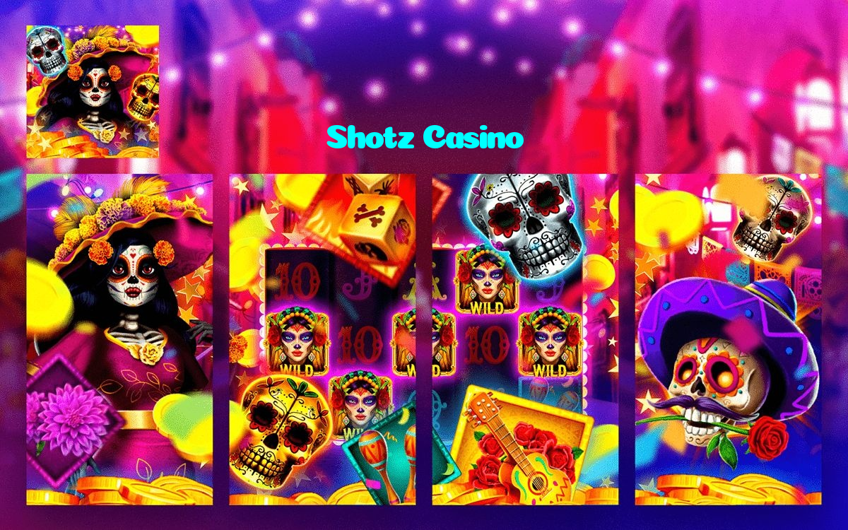 available types of Shotz Casino bet including pre-match live express and system bets